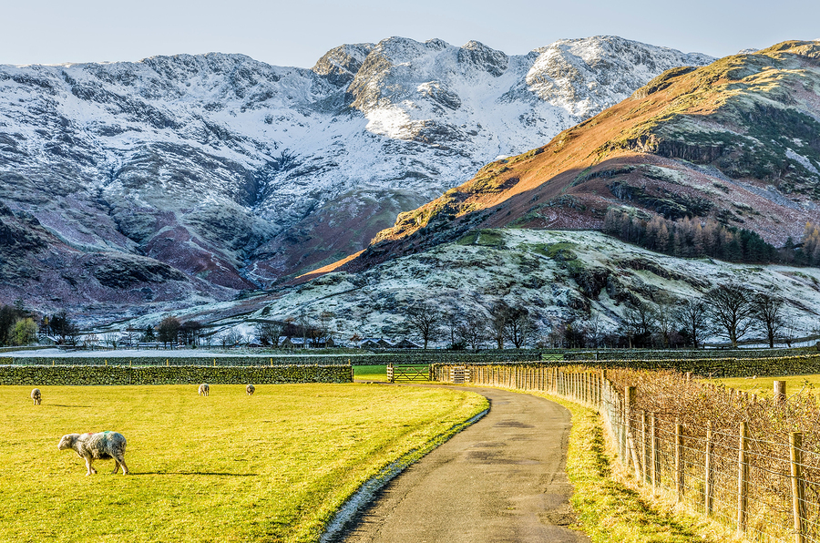 Lake District Snow